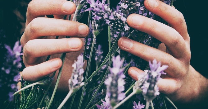 Vagus Experience Technique