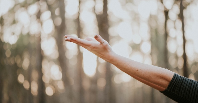 Vagus Experience Technique